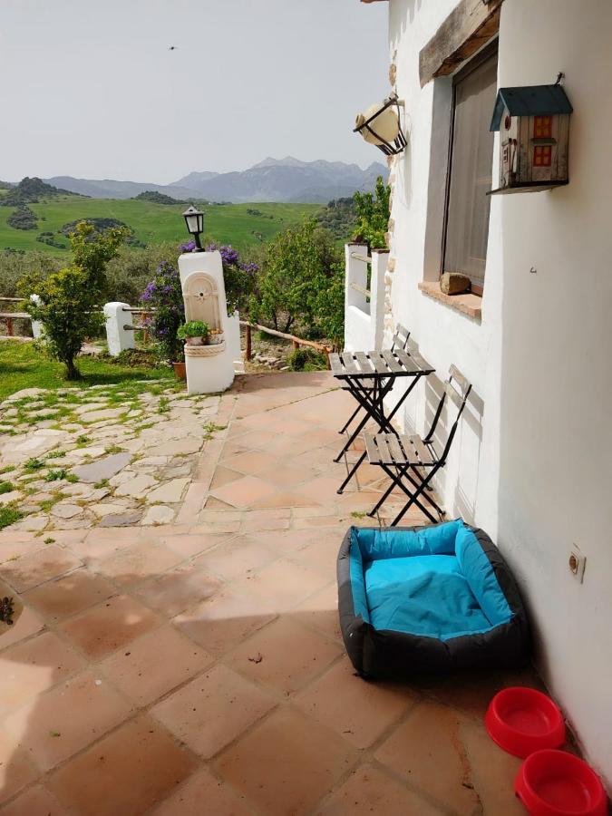 Villa Huerta Nacimiento Монтекорто Екстер'єр фото