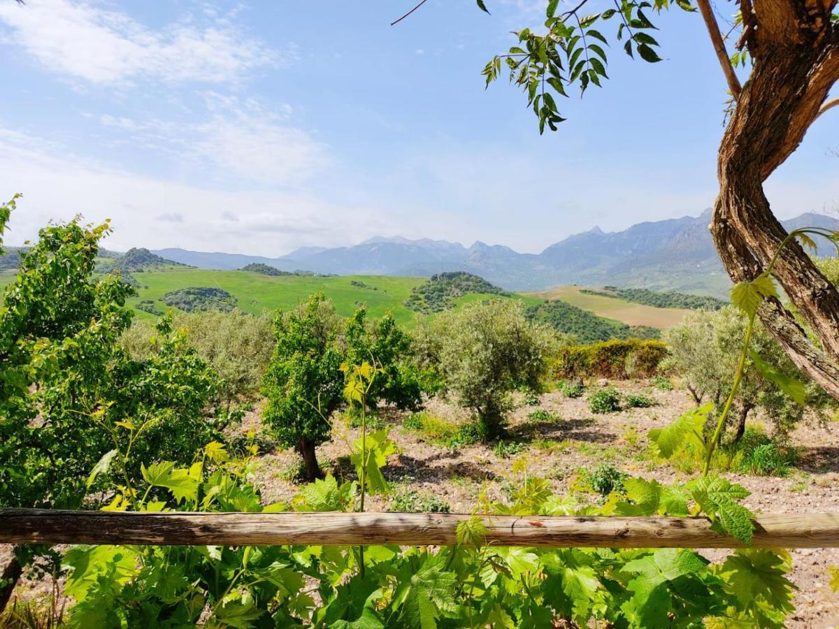 Villa Huerta Nacimiento Монтекорто Екстер'єр фото
